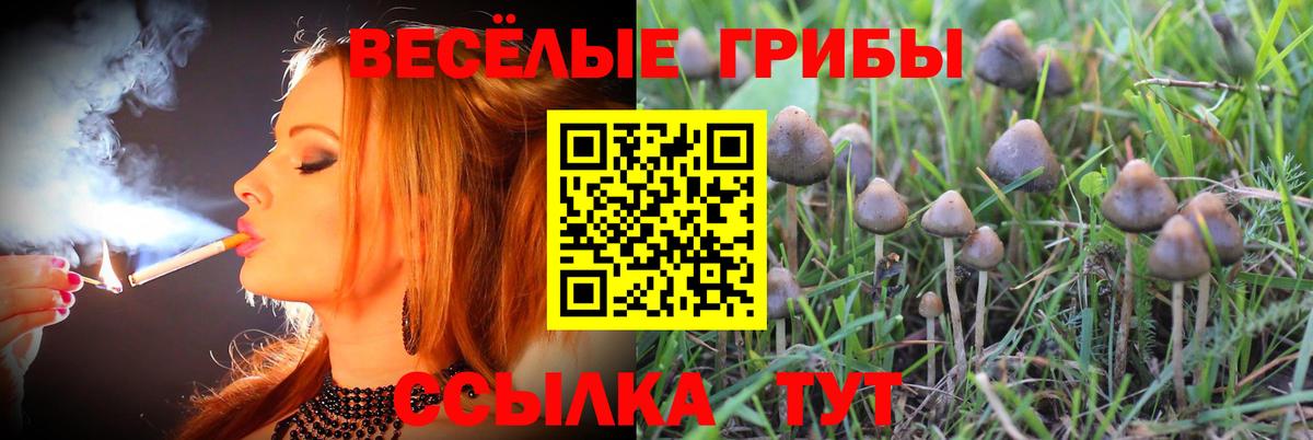 Галлюциногенные грибы прущие грибы Десногорск