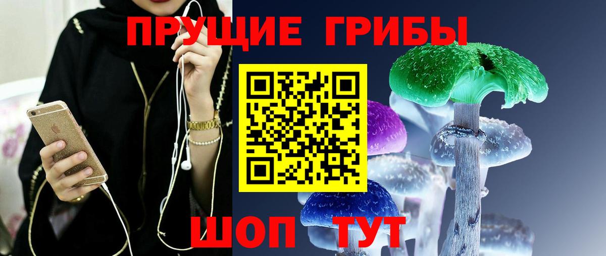 Псилоцибиновые грибы GOLDEN TEACHER  Вход с VPN  Галлюциногенные грибы Psilocybine cubensis  Десногорск 